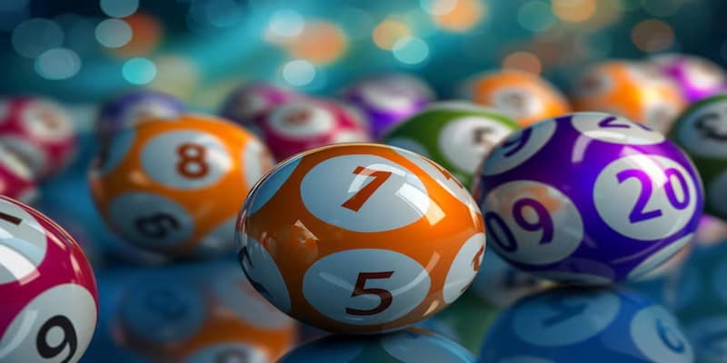 bạch thủ lô hàng ngày trên nền tảng Mmwin