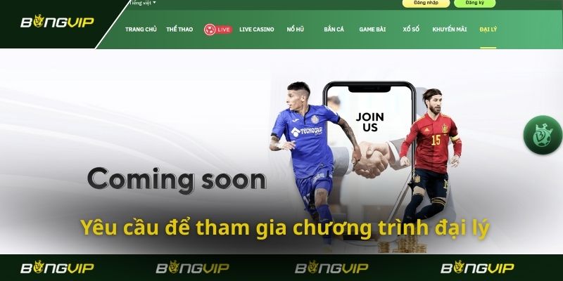 Làm đại lý Bongvip nhận chính sách hoa hồng hấp dẫn