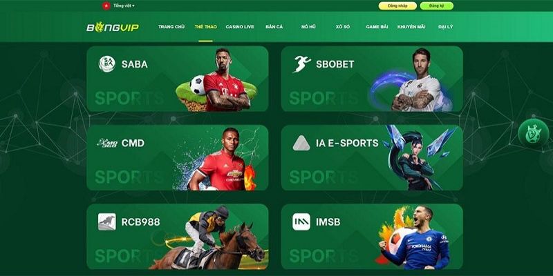 Thể Thao Bongvip - Sảnh Cá Cược Hấp Dẫn Đông Đảo Người Chơi